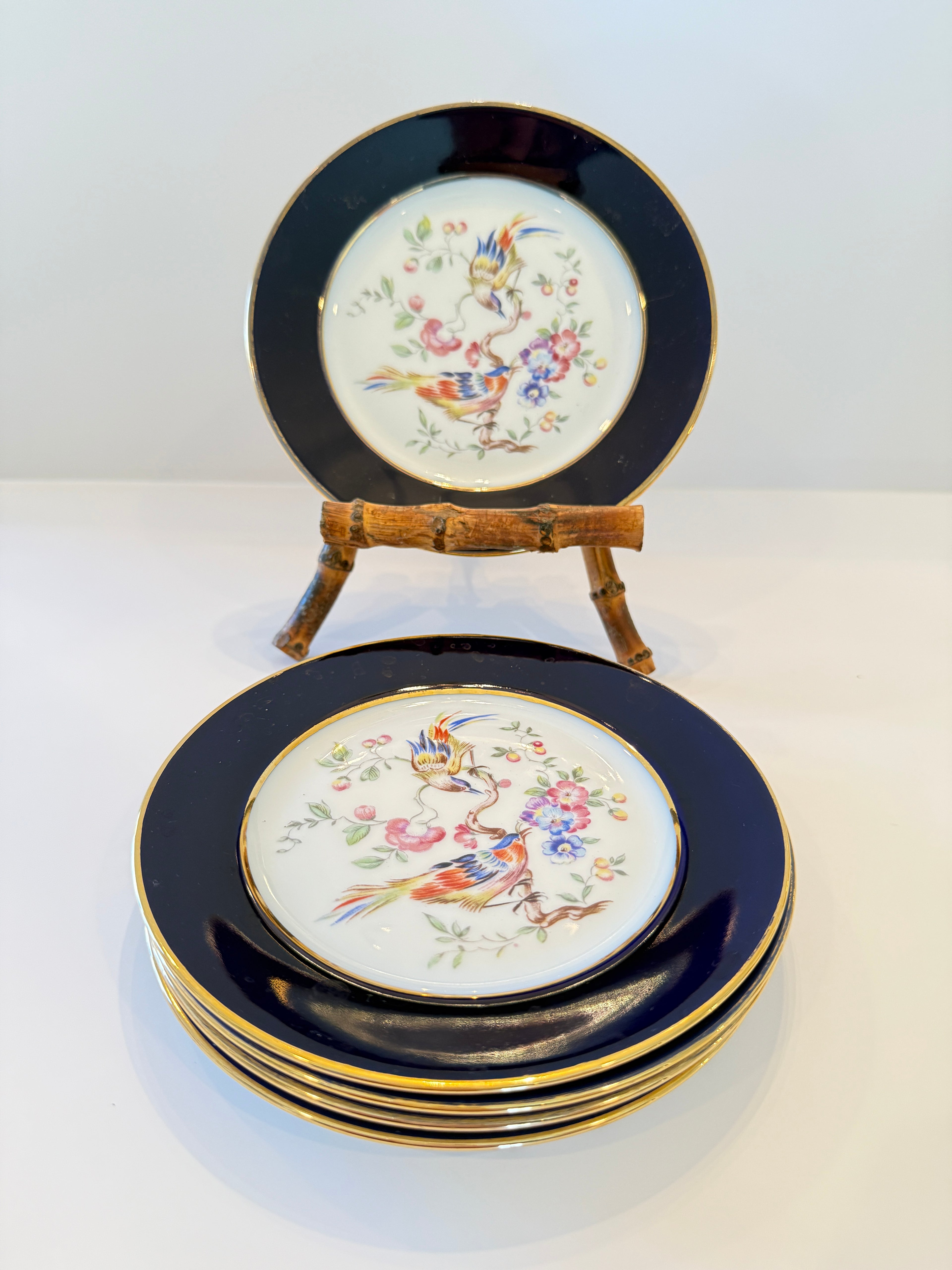 Piatti da dessert Rosenthal Cobalt & Songbird, set da cinque