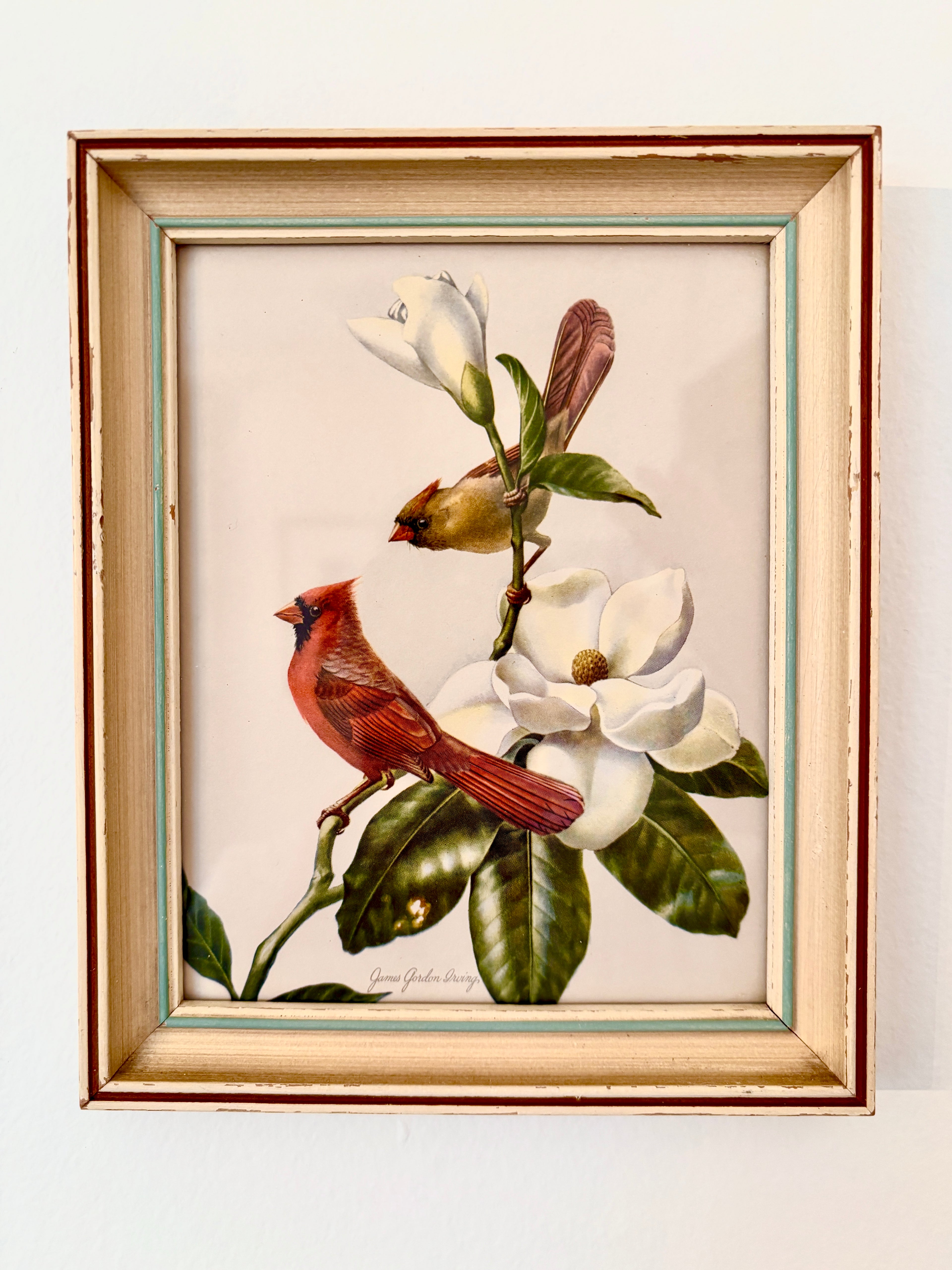 Vintage Cardinals and Magnolia Print I. 8" x 6.5"