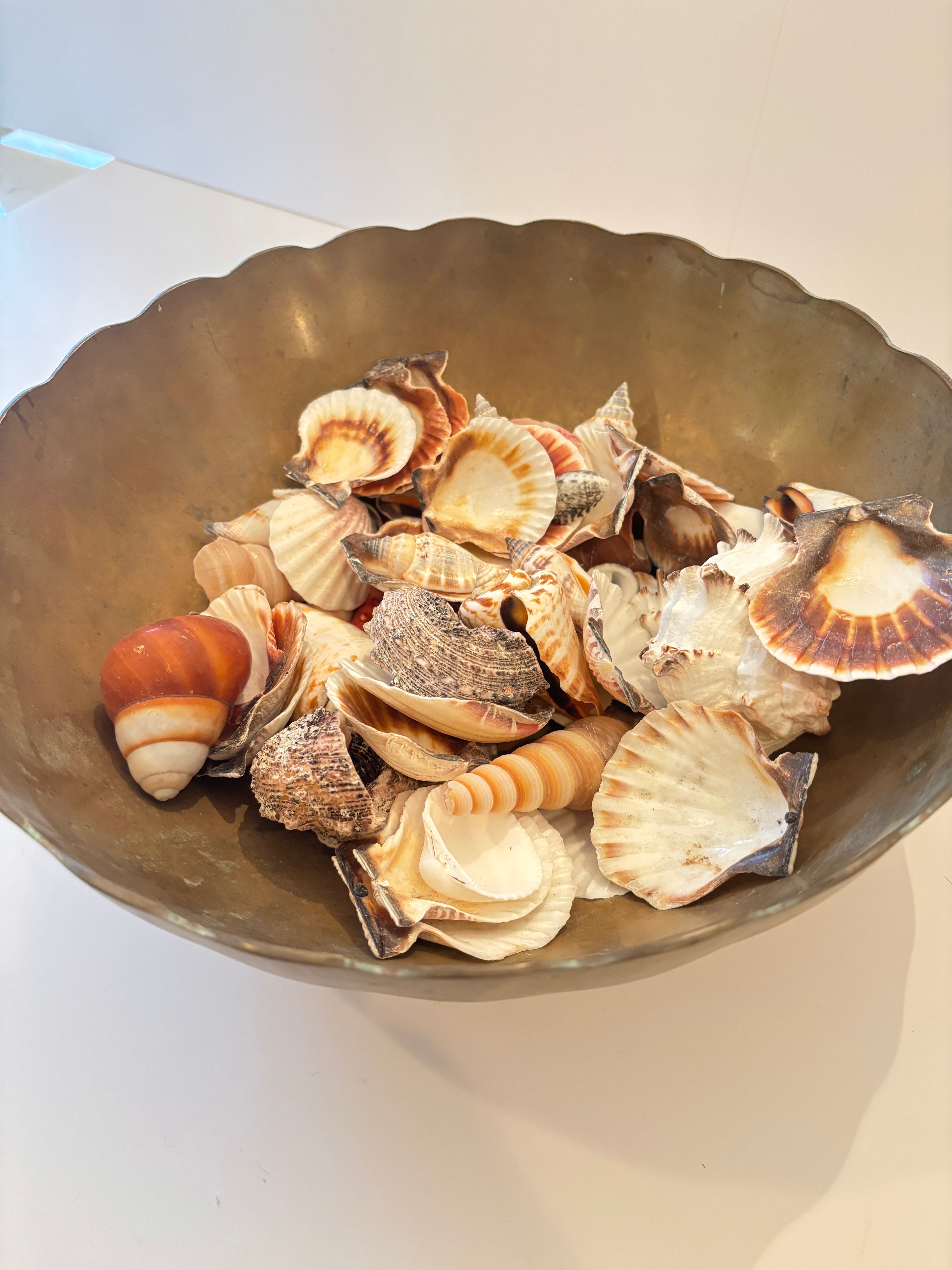 Vintage brass scalloped bowl, side view showing patina