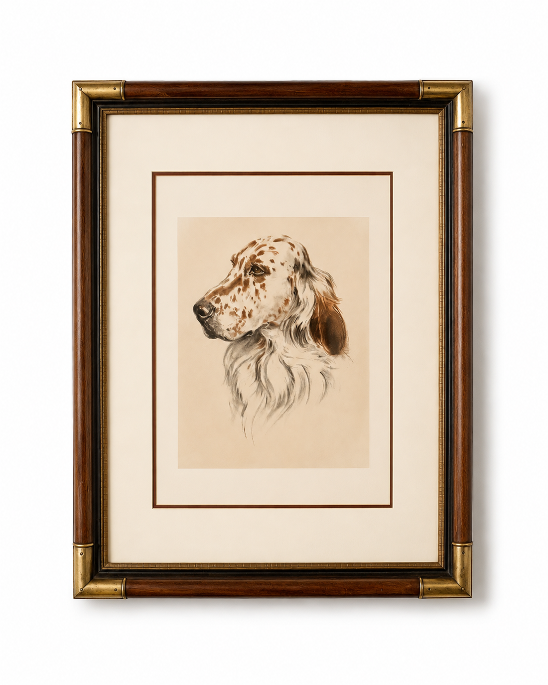 Antique English Setter Head Study Print, Framed with Brass Corners
