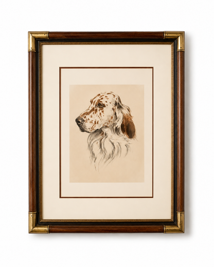Antique English Setter Head Study Print, Framed with Brass Corners