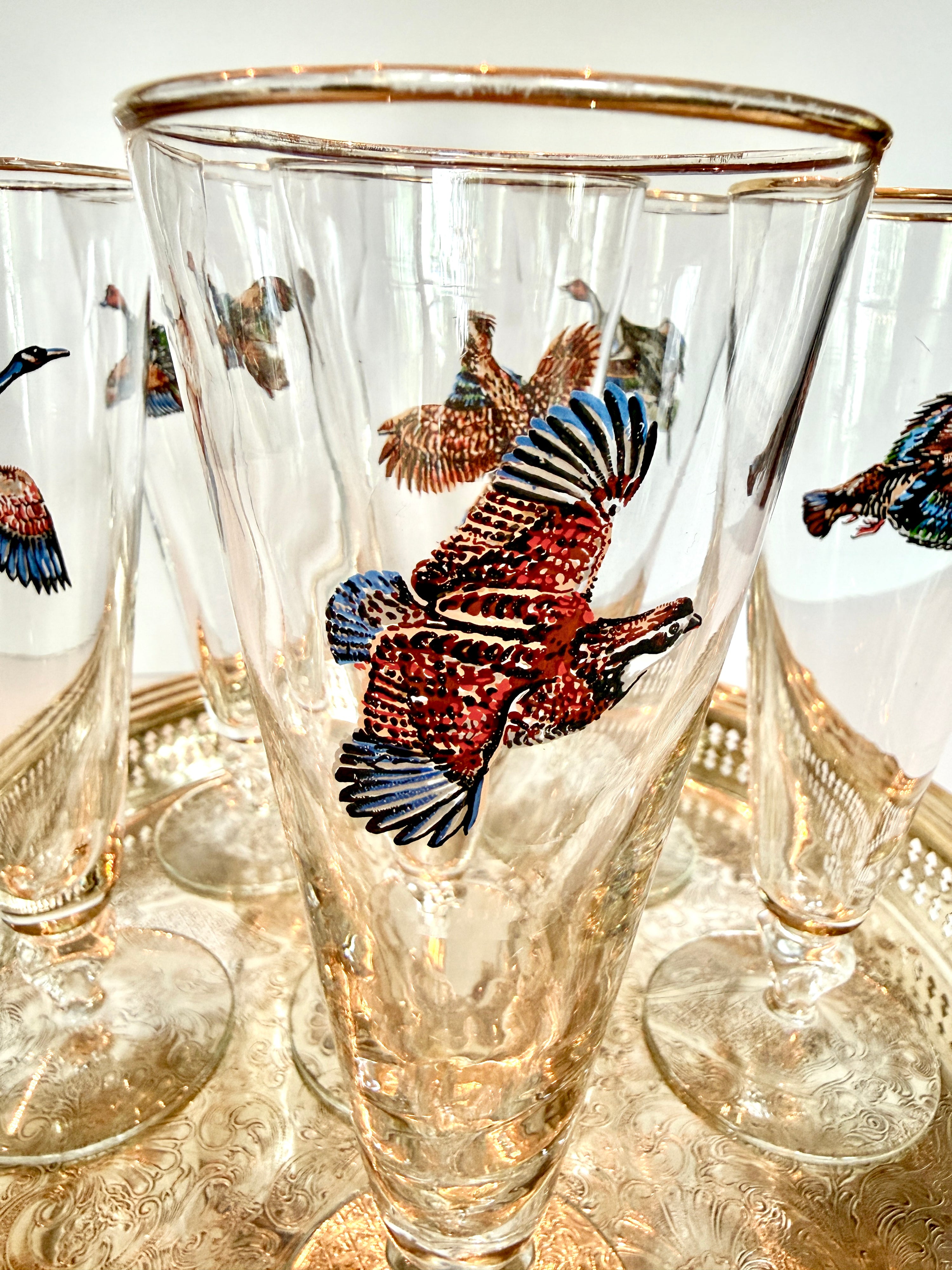 Vintage Sportsman Pilsner Glasses, Set of Six