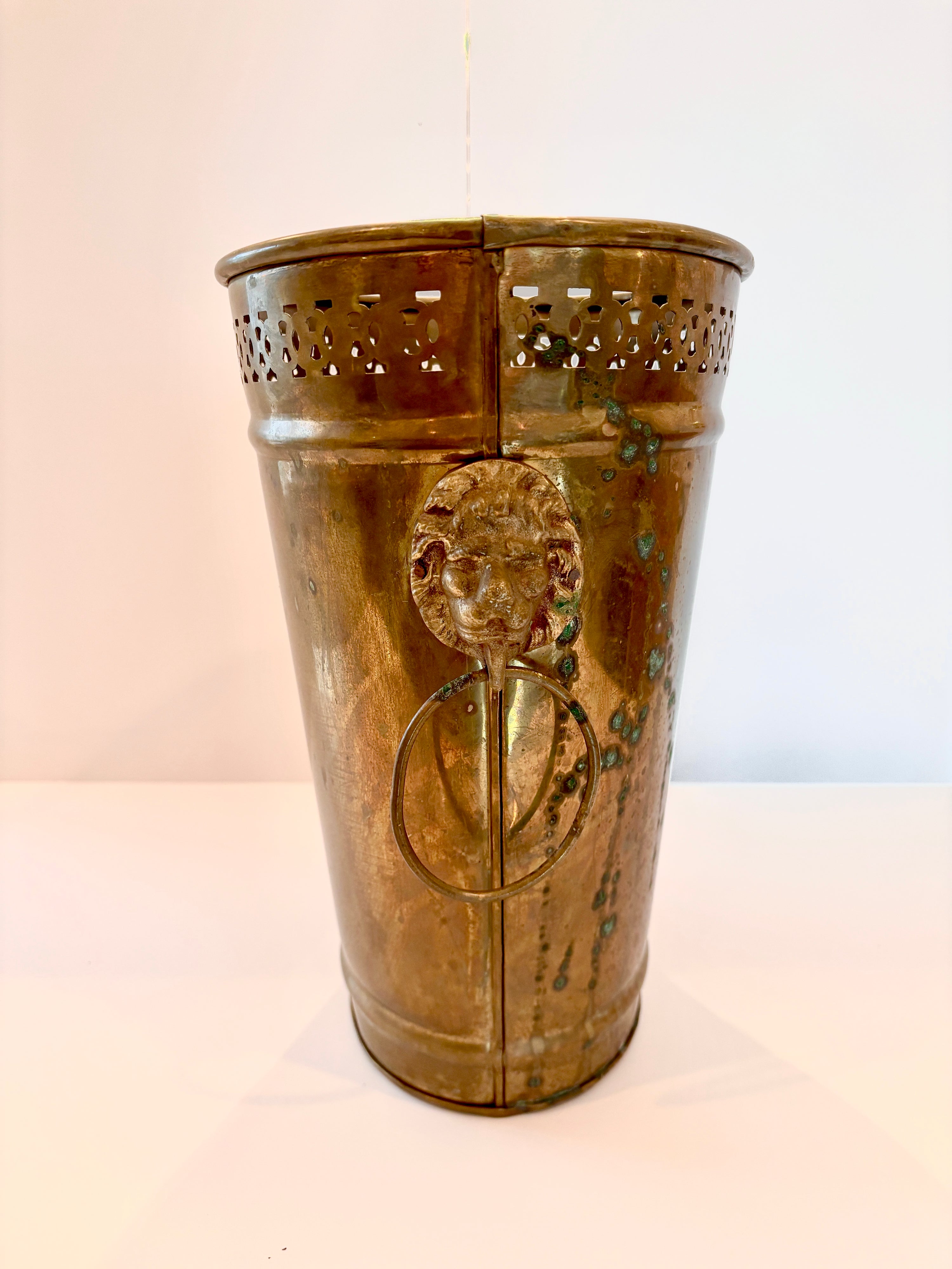 Brass lion&