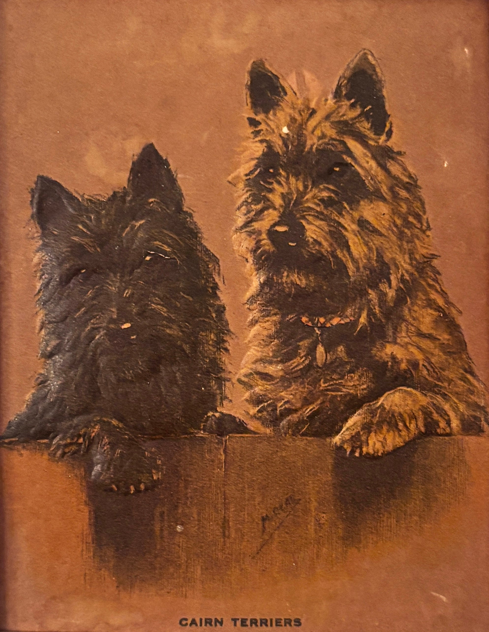 Small Cain Terrier Embossed Print