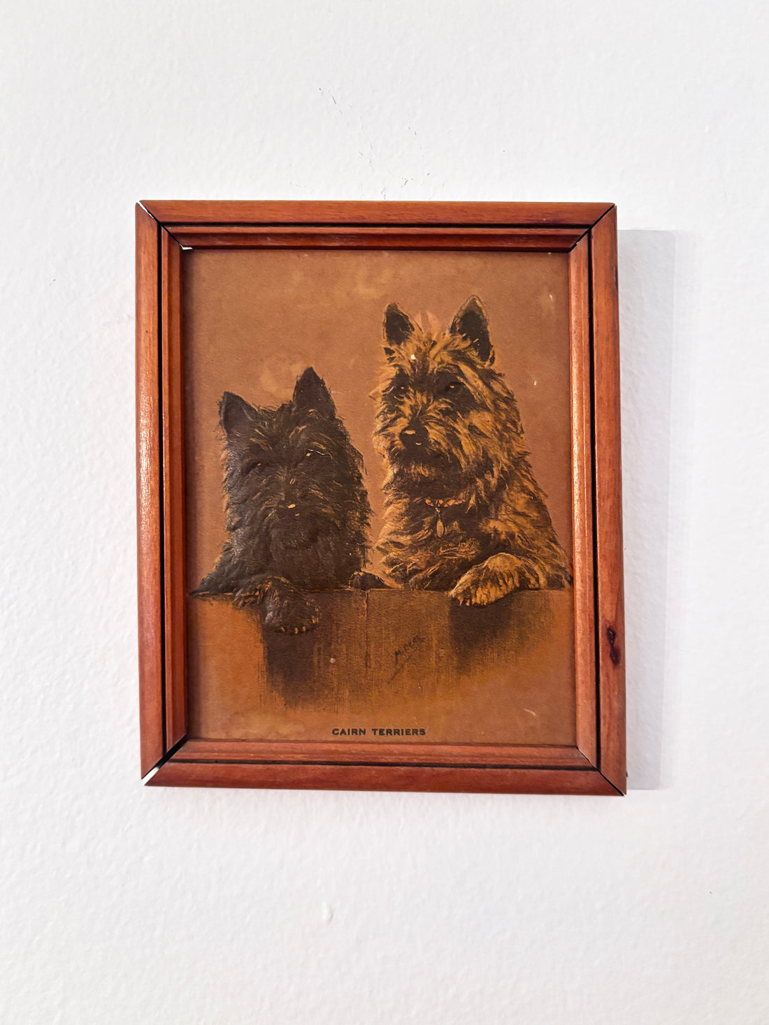 Small Cain Terrier Embossed Print