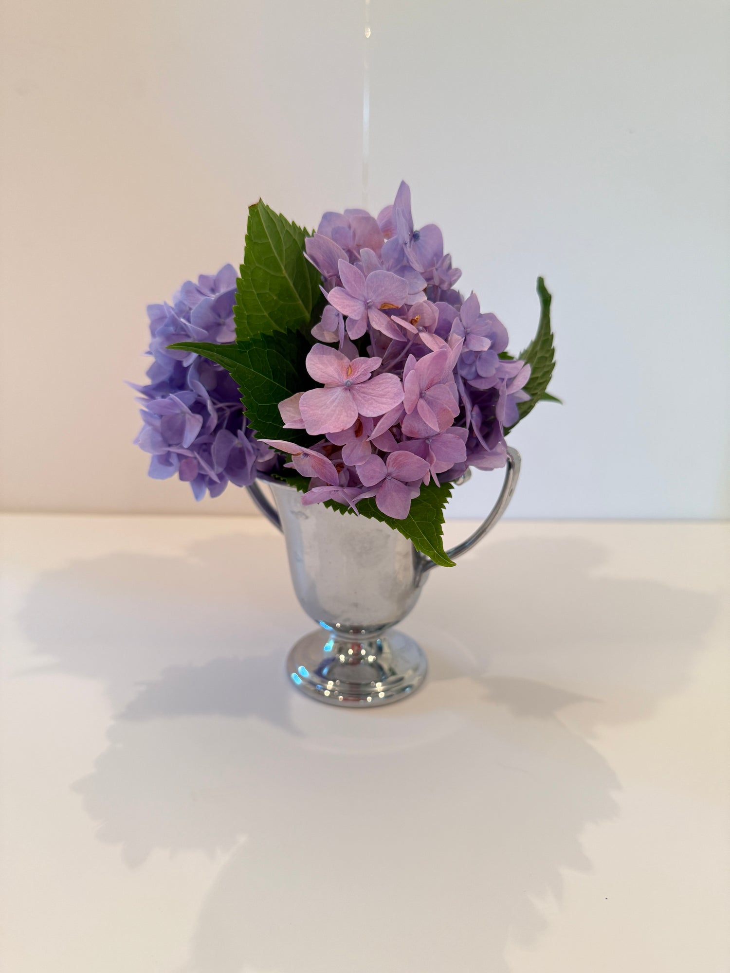Vintage Silver-Color Mini Trophy Cup