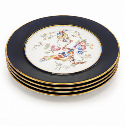Piatti da dessert Rosenthal Cobalt &amp;amp; Songbird, set da cinque