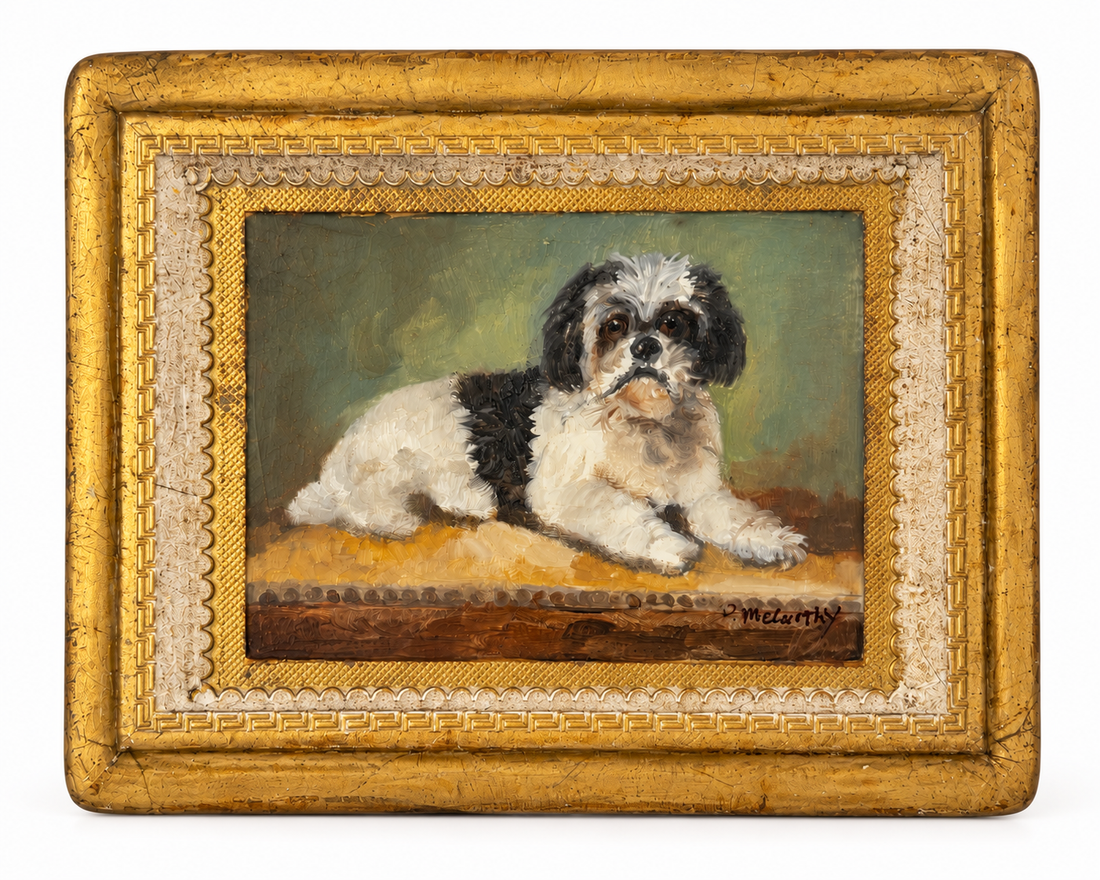 Shih Tzu oil, detail