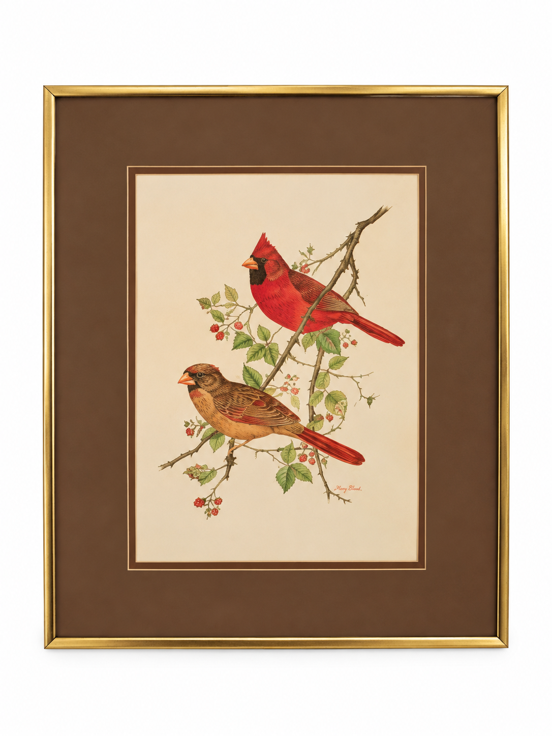 Vintage Signed Blackburnian Warbler Bird Artwork by Mary Bland