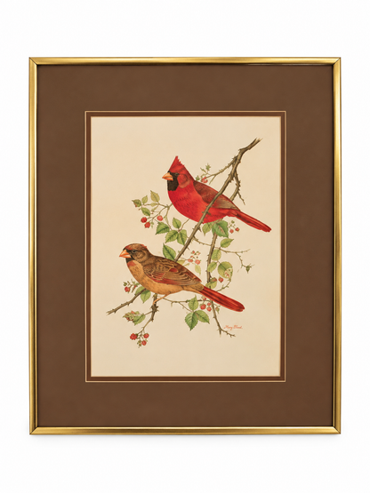 Vintage Signed Blackburnian Warbler Bird Artwork by Mary Bland